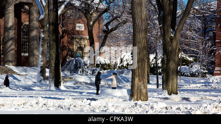 Harvard Yard, der alte Center der Harvard Universitätscampus, bereift im Schnee am Tag nach einem Schneesturm. Stockfoto