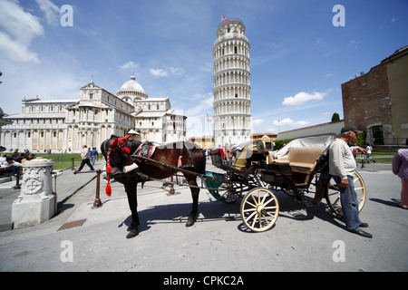 Pferd Kutsche Str. Marys Kathedrale & SCHIEFEN Turm PISA Toskana Italien 8. Mai 2012 Stockfoto