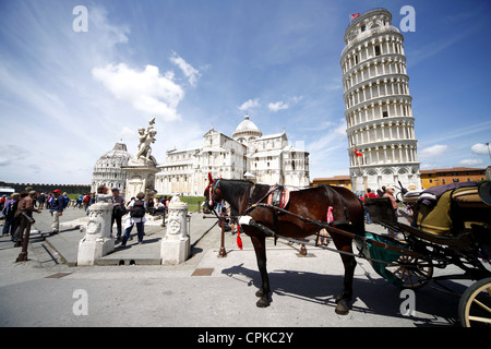 Pferd Kutsche Str. Marys Kathedrale & SCHIEFEN Turm PISA Toskana Italien 8. Mai 2012 Stockfoto