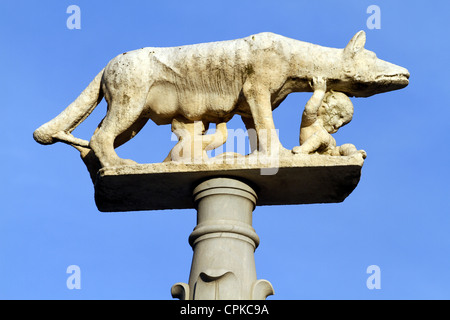 STATUE der Wölfin mit ROMULUS & REMUS Dom zu SIENA Toskana Italien 10. Mai 2012 Stockfoto