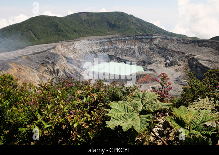 Poas Volcano National Park, Costa Rica.  Vulkanischer Dampf steigt von Laguna Caliente, der aktive Teil des Vulkans Stockfoto