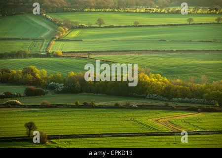 Frühling Morgen in South Downs National Park, East Sussex, England. Stockfoto