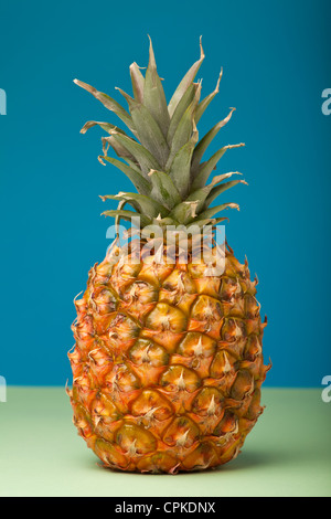 Pinaapple Obst angebaut auf El Hierro auf den Kanarischen Inseln, Spanien. Stockfoto