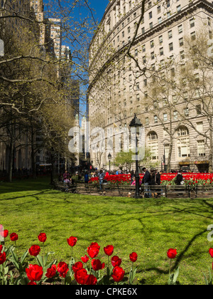 Frühling-Tulpen in Bowling Green Park, New York Stockfoto