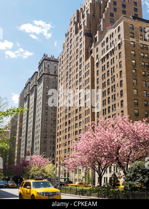 Frühling im Murray Hill Historic District, New York City, USA, Stockfoto