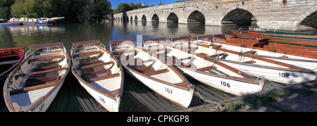 Eine Reihe von Ruderboote zu mieten, die durch den Fluss Avon, Warwickshire, England Stratford-upon-Avon Stadt festgemacht; Großbritannien; UK Stockfoto