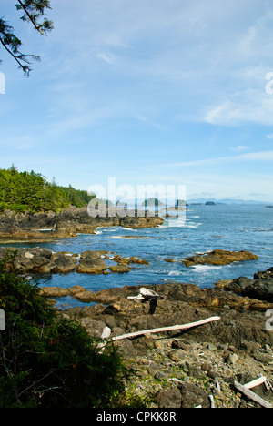 Ucluelet Häuser, Wochenend-Retreats, Kabinen, Naherholungsgebiet, Heimat von Pacific Rim Walfestival, Vancouver Island, BC, Kanada Stockfoto