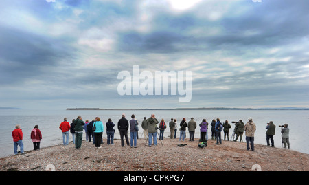 WATCHERS NATURFOTOGRAFEN VERSAMMELN, UM WILD LEBENDE DELPHINE AM CHANONRY POINT NAHE ROSEMARKIE SEHEN AUF DEN MORAY FIRTH IN SCHOTTLAND, VEREINIGTES KÖNIGREICH Stockfoto