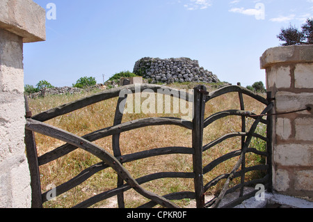 Traditionelle Oliven Holz Tor in der Nähe von Sant Tomàs, Menorca, Balearen, Spanien Stockfoto