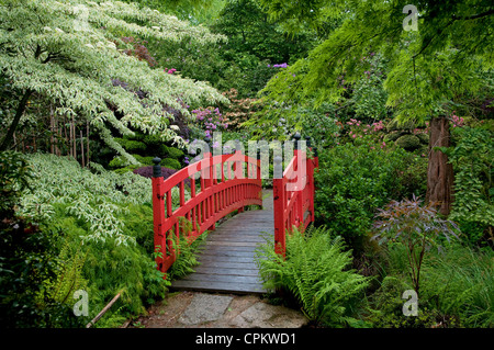 Botanischer Garten im Chateau De La Foltiere, Bretagne, Frankreich Stockfoto