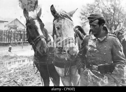 Deutsch Kutscher stehen neben seinen Pferden, 1941 Stockfoto