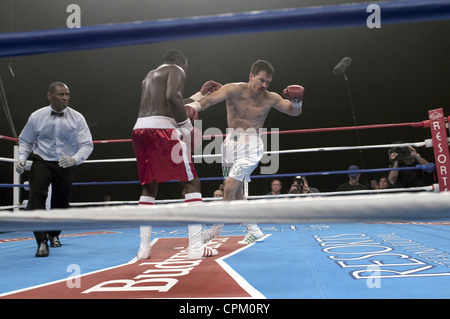 The Fighter Year : 2010 USA Regie : David O. Russell Mark Wahlberg auf der Grundlage einer wahren Geschichte Stockfoto