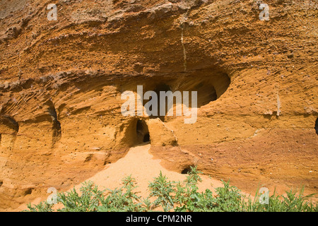 Rote Felsen rock Einlagen mit Muscheln und überqueren Sie Bettwäsche ausgesetzt in einem Steinbruch, Buckanay Grube, in der Nähe von Alderton, Suffolk, England Stockfoto