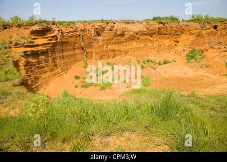 Rote Felsen rock Einlagen mit Muscheln und überqueren Sie Bettwäsche ausgesetzt in einem Steinbruch, Buckanay Grube, in der Nähe von Alderton, Suffolk, England Stockfoto