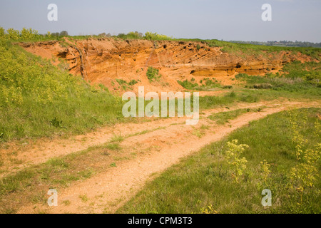 Rote Felsen rock Einlagen mit Muscheln und überqueren Sie Bettwäsche ausgesetzt in einem Steinbruch, Buckanay Grube, in der Nähe von Alderton, Suffolk, England Stockfoto