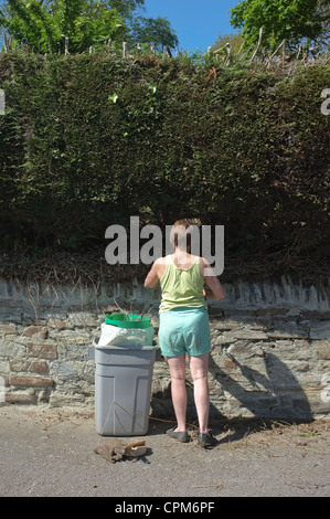 Kornische Gärtner beschneiden eine Leylandii Stockfoto