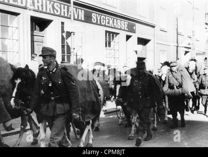 Deutschen Gebirgsjägern in Dänemark, 1940 Stockfoto