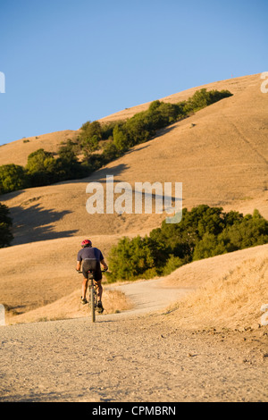 Mountainbiker auf Mission Höhepunkt. Fremont, Kalifornien. Stockfoto