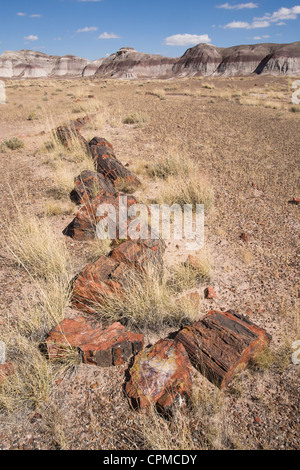 Versteinertes Holz. Petrified Forest NP, Arizona. Stockfoto