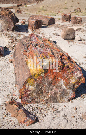 Gelb, rot und orange Farben in versteinertem Holz. Petrified Forest NP, Arizona. Stockfoto