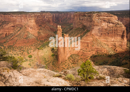 Spider Rock gesehen von der South Rim Overlook. Canyon de Chelly, Arizona. Stockfoto