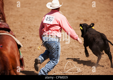 Ein Konkurrent jagt eine Kalb in den Riegel nach unten Abseilen Wettbewerb beim 90. jährliche Black Hills Roundup Rodeo am 4. Juli 2009. Stockfoto