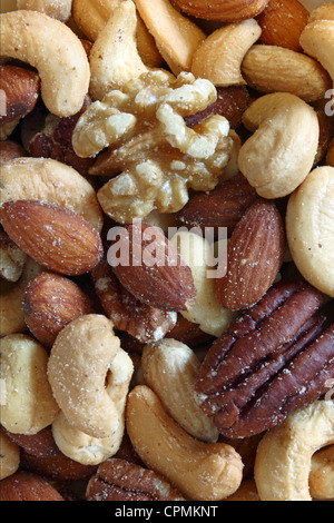 Nussmischung einschließlich Pekannüsse, Mandeln, Cashewnüsse und Walnüsse. Stockfoto