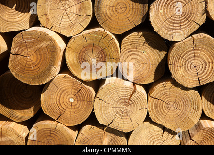 Nahaufnahme von einem Stapel von geschnittenen Protokolle. Stockfoto