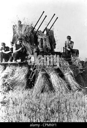 Deutsche 2cm Flak 38 in Lettland, 1944 Stockfoto