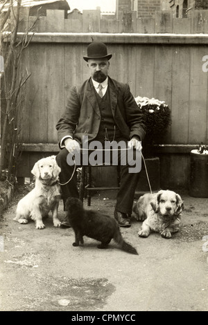 Mann im Hinterhof mit zwei Spaniels & eigensinnige Katze Stockfoto