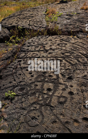 Elk284-2584v Hawaii HI Volcanoes NP Mauna Loa Petroglyphs Chain of Craters Road Petroglyphen auf vulkanischem Gestein geätzt Stockfoto