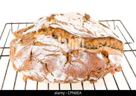 Hausgemachtes Brot Stockfoto