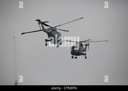 Zwei Luchse Militärhubschrauber durchführen Manöver Stockfoto