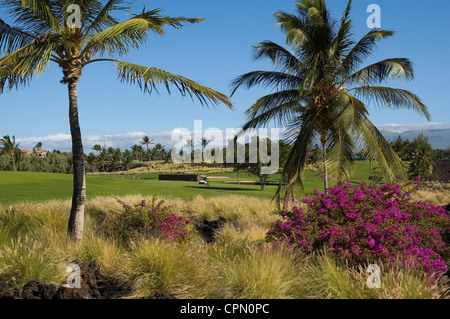 Elk284-3213 Hawaii, HI, N Kona Coast, Anaehoomalu Bay, Golfplatz in der Nähe von Hilton Waikoloa Village Stockfoto