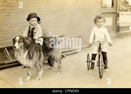 Kleiner Junge Collie und einem Reiten Dreirad fahren Stockfoto