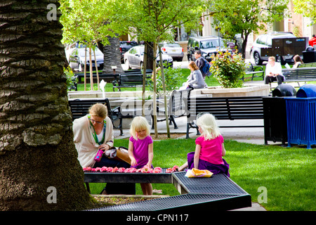 Plaza, Healdsburg (11.254 Einwohner), Sonoma Wein Land, Stadt, CA, USA Stockfoto