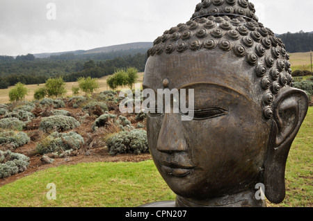 Flora auf der Alii Kula Lavender Farm im Upcountry Maui, Hawaii Stockfoto