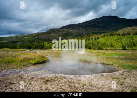 Dampf steigt von vulkanische Thermalquelle, Island Stockfoto