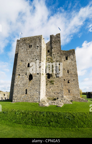 Trim Castle in Irland Stockfoto