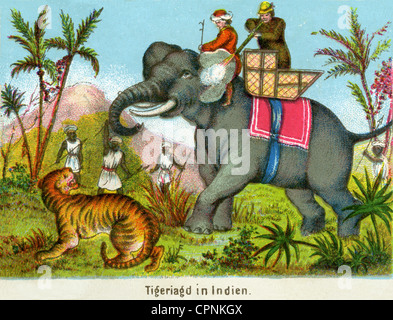 Jagd, Großwildjagd, Tigerjagd, britischer Großwildjäger, Jäger reitet auf Elefanten, Indien, Lithographie, um 1860, zusätzliche-Rechte-Clearences-nicht verfügbar Stockfoto