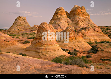 Sandsteinfelsen und Cottonwood Teepees in South Coyote Buttes, Arizona Stockfoto