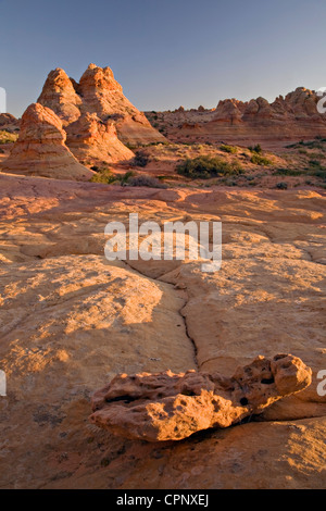 Sandsteinfelsen und Cottonwood Teepees in South Coyote Buttes, Arizona Stockfoto