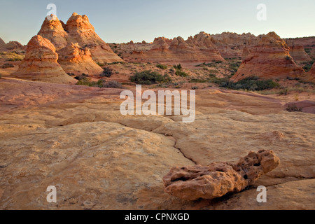 Sandsteinfelsen und Cottonwood Teepees in South Coyote Buttes, Arizona Stockfoto