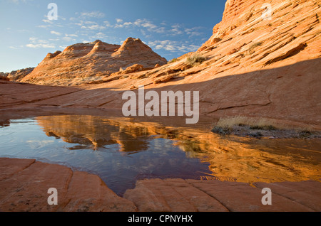 Ein Wassersack mit Eis bedeckt spiegelt Sandstein "Tipis" gemeinsame im Bereich Coyote Buttes North, Arizona Stockfoto