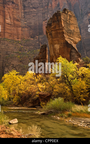 Die Kanzel und der Virgin River im Herbst im Zion Nationalpark, Utah Stockfoto