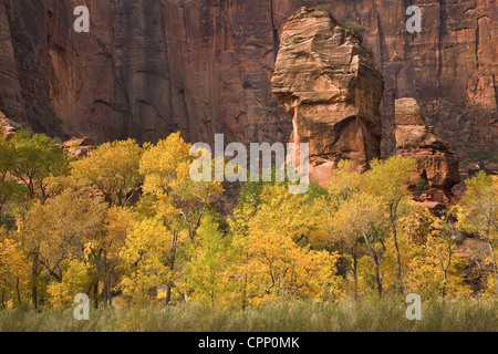 Die Kanzel im Herbst im Zion Nationalpark, Utah Stockfoto