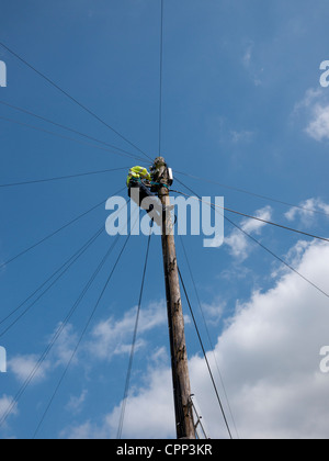 Telefon-Ingenieur arbeitet auf einem Telegrafenmast, UK. Stockfoto