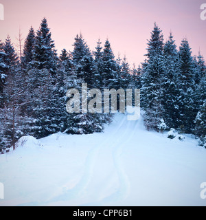 Wunderschönen Sonnenaufgang in Karpaten, Ukraine Stockfoto
