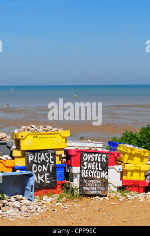 Austernschalen am Strand von Whitstable, Kent, England Stockfoto