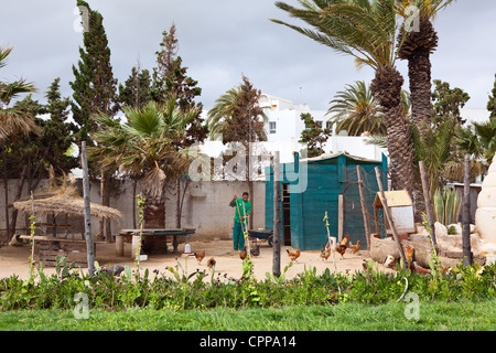 Arbeiter im Vogel-Farm im Hotel Gebiet auf ca. Mai 2012 in Monastir, Tunesien Stockfoto
